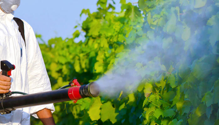 <p>Disinfestazione insetti</p>
